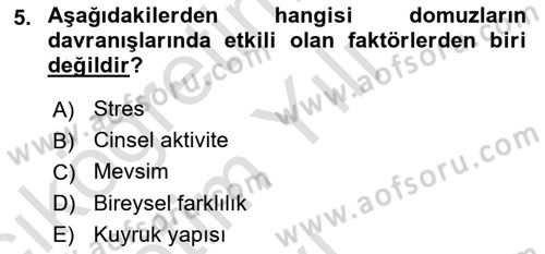 Hayvan Davranışları ve Refahı Dersi 2021 - 2022 Yılı Yaz Okulu Sınav Soruları 5. Soru
