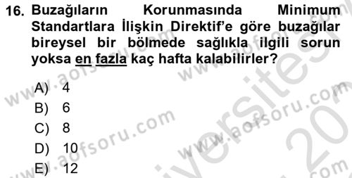 Hayvan Davranışları ve Refahı Dersi 2022 - 2023 Yılı Yaz Okulu Sınav Soruları 16. Soru