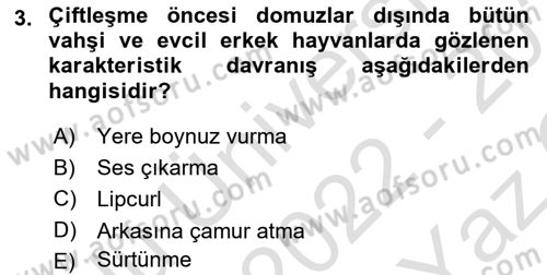 Hayvan Davranışları ve Refahı Dersi 2022 - 2023 Yılı Yaz Okulu Sınav Soruları 3. Soru