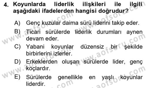 Hayvan Davranışları ve Refahı Dersi 2022 - 2023 Yılı Yaz Okulu Sınav Soruları 4. Soru