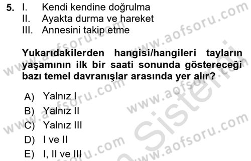 Hayvan Davranışları ve Refahı Dersi 2022 - 2023 Yılı Yaz Okulu Sınav Soruları 5. Soru