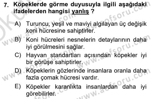 Hayvan Davranışları ve Refahı Dersi 2022 - 2023 Yılı Yaz Okulu Sınav Soruları 7. Soru