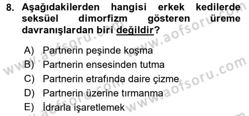 Hayvan Davranışları ve Refahı Dersi 2022 - 2023 Yılı Yaz Okulu Sınav Soruları 8. Soru