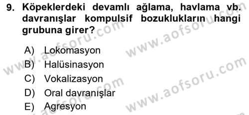 Hayvan Davranışları ve Refahı Dersi 2022 - 2023 Yılı Yaz Okulu Sınav Soruları 9. Soru