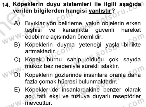 Hayvan Davranışları ve Refahı Dersi 2023 - 2024 Yılı (Vize) Ara Sınav Soruları 14. Soru