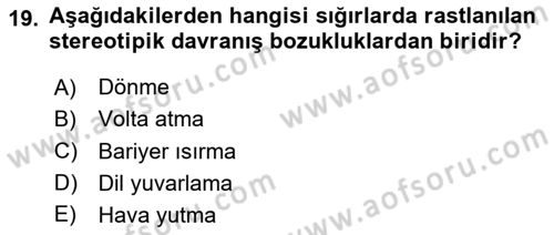 Hayvan Davranışları ve Refahı Dersi 2023 - 2024 Yılı (Vize) Ara Sınav Soruları 19. Soru