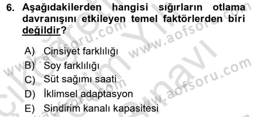 Hayvan Davranışları ve Refahı Dersi 2023 - 2024 Yılı (Vize) Ara Sınav Soruları 6. Soru
