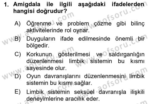 Hayvan Davranışları ve Refahı Dersi 2023 - 2024 Yılı (Final) Dönem Sonu Sınav Soruları 1. Soru