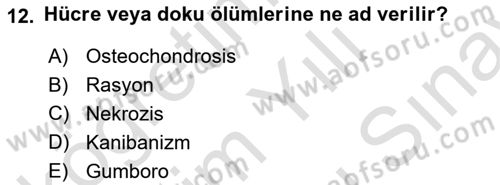 Hayvan Davranışları ve Refahı Dersi 2023 - 2024 Yılı (Final) Dönem Sonu Sınav Soruları 12. Soru