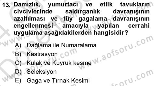 Hayvan Davranışları ve Refahı Dersi 2023 - 2024 Yılı (Final) Dönem Sonu Sınav Soruları 13. Soru