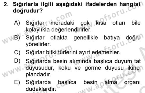 Hayvan Davranışları ve Refahı Dersi 2023 - 2024 Yılı (Final) Dönem Sonu Sınav Soruları 2. Soru