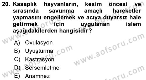 Hayvan Davranışları ve Refahı Dersi 2023 - 2024 Yılı (Final) Dönem Sonu Sınav Soruları 20. Soru