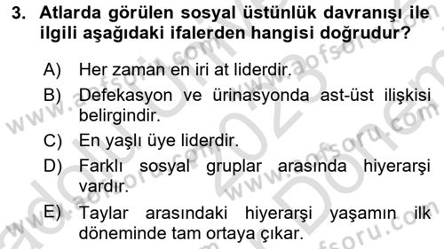 Hayvan Davranışları ve Refahı Dersi 2023 - 2024 Yılı (Final) Dönem Sonu Sınav Soruları 3. Soru