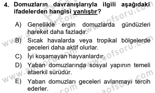 Hayvan Davranışları ve Refahı Dersi 2023 - 2024 Yılı (Final) Dönem Sonu Sınav Soruları 4. Soru