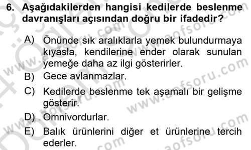 Hayvan Davranışları ve Refahı Dersi 2023 - 2024 Yılı (Final) Dönem Sonu Sınav Soruları 6. Soru