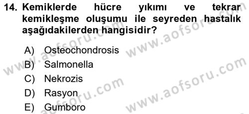 Hayvan Davranışları ve Refahı Dersi 2023 - 2024 Yılı Yaz Okulu Sınav Soruları 14. Soru