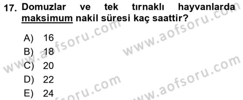 Hayvan Davranışları ve Refahı Dersi 2023 - 2024 Yılı Yaz Okulu Sınav Soruları 17. Soru