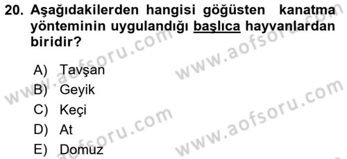 Hayvan Davranışları ve Refahı Dersi 2023 - 2024 Yılı Yaz Okulu Sınav Soruları 20. Soru