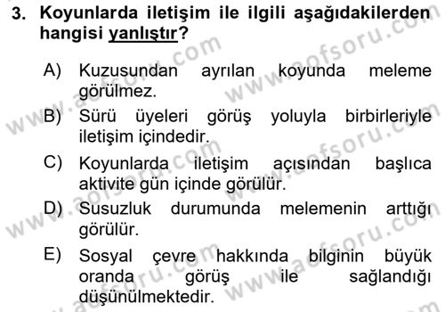 Hayvan Davranışları ve Refahı Dersi 2023 - 2024 Yılı Yaz Okulu Sınav Soruları 3. Soru