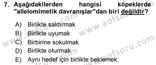 Hayvan Davranışları ve Refahı Dersi 2023 - 2024 Yılı Yaz Okulu Sınav Soruları 7. Soru
