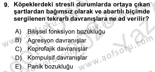 Hayvan Davranışları ve Refahı Dersi 2023 - 2024 Yılı Yaz Okulu Sınav Soruları 9. Soru
