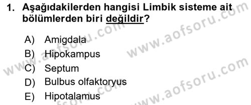 Hayvan Davranışları ve Refahı Dersi 2024 - 2025 Yılı (Vize) Ara Sınav Soruları 1. Soru