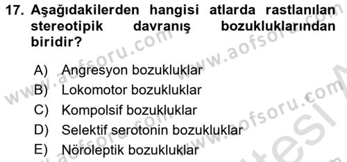 Hayvan Davranışları ve Refahı Dersi 2024 - 2025 Yılı (Vize) Ara Sınav Soruları 17. Soru