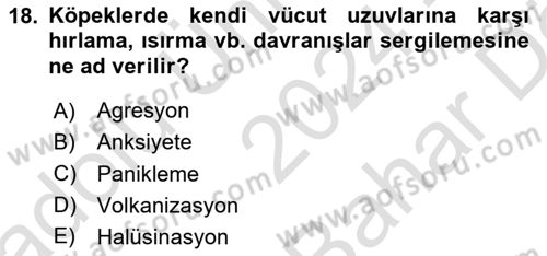 Hayvan Davranışları ve Refahı Dersi 2024 - 2025 Yılı (Vize) Ara Sınav Soruları 18. Soru