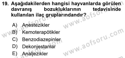 Hayvan Davranışları ve Refahı Dersi 2024 - 2025 Yılı (Vize) Ara Sınav Soruları 19. Soru