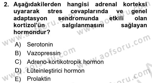 Hayvan Davranışları ve Refahı Dersi 2024 - 2025 Yılı (Vize) Ara Sınav Soruları 2. Soru