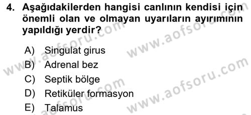 Hayvan Davranışları ve Refahı Dersi 2024 - 2025 Yılı (Vize) Ara Sınav Soruları 4. Soru