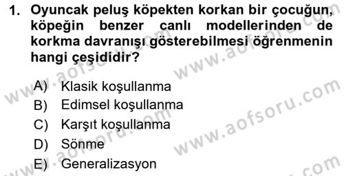 Hayvan Davranışları ve Refahı Dersi 2024 - 2025 Yılı (Final) Dönem Sonu Sınav Soruları 1. Soru