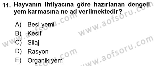 Hayvan Davranışları ve Refahı Dersi 2024 - 2025 Yılı (Final) Dönem Sonu Sınav Soruları 11. Soru