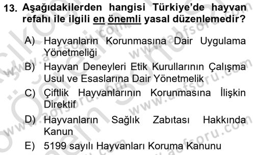 Hayvan Davranışları ve Refahı Dersi 2024 - 2025 Yılı (Final) Dönem Sonu Sınav Soruları 13. Soru