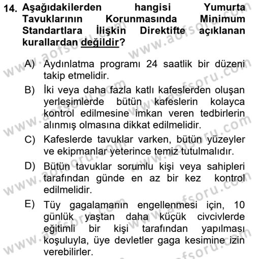 Hayvan Davranışları ve Refahı Dersi 2024 - 2025 Yılı (Final) Dönem Sonu Sınav Soruları 14. Soru