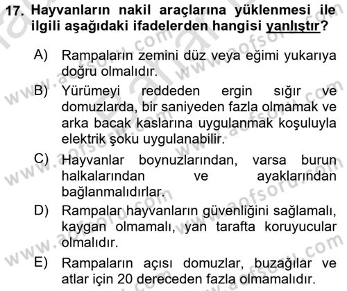 Hayvan Davranışları ve Refahı Dersi 2024 - 2025 Yılı (Final) Dönem Sonu Sınav Soruları 17. Soru