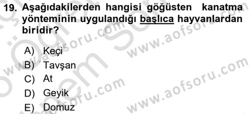 Hayvan Davranışları ve Refahı Dersi 2024 - 2025 Yılı (Final) Dönem Sonu Sınav Soruları 19. Soru