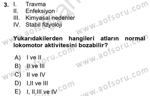 Hayvan Davranışları ve Refahı Dersi 2024 - 2025 Yılı (Final) Dönem Sonu Sınav Soruları 3. Soru