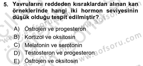 Hayvan Davranışları ve Refahı Dersi 2024 - 2025 Yılı (Final) Dönem Sonu Sınav Soruları 5. Soru