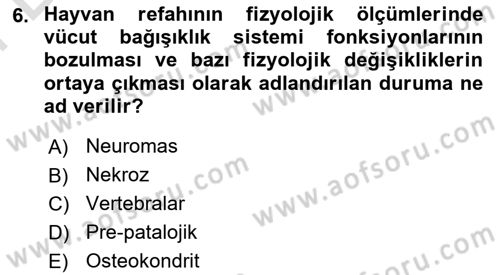 Hayvan Davranışları ve Refahı Dersi 2024 - 2025 Yılı (Final) Dönem Sonu Sınav Soruları 6. Soru