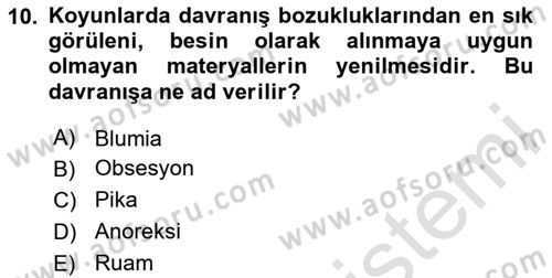 Hayvan Davranışları ve Refahı Dersi 2024 - 2025 Yılı Yaz Okulu Sınav Soruları 10. Soru