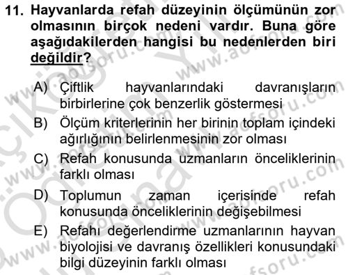 Hayvan Davranışları ve Refahı Dersi 2024 - 2025 Yılı Yaz Okulu Sınav Soruları 11. Soru