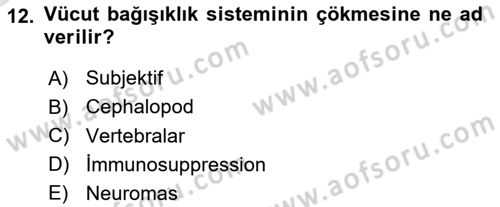Hayvan Davranışları ve Refahı Dersi 2024 - 2025 Yılı Yaz Okulu Sınav Soruları 12. Soru