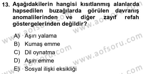 Hayvan Davranışları ve Refahı Dersi 2024 - 2025 Yılı Yaz Okulu Sınav Soruları 13. Soru