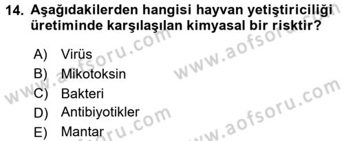 Hayvan Davranışları ve Refahı Dersi 2024 - 2025 Yılı Yaz Okulu Sınav Soruları 14. Soru