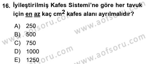 Hayvan Davranışları ve Refahı Dersi 2024 - 2025 Yılı Yaz Okulu Sınav Soruları 16. Soru