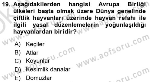 Hayvan Davranışları ve Refahı Dersi 2024 - 2025 Yılı Yaz Okulu Sınav Soruları 19. Soru
