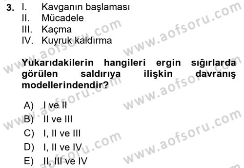 Hayvan Davranışları ve Refahı Dersi 2024 - 2025 Yılı Yaz Okulu Sınav Soruları 3. Soru