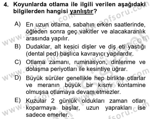 Hayvan Davranışları ve Refahı Dersi 2024 - 2025 Yılı Yaz Okulu Sınav Soruları 4. Soru