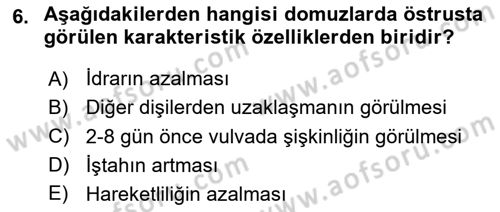 Hayvan Davranışları ve Refahı Dersi 2024 - 2025 Yılı Yaz Okulu Sınav Soruları 6. Soru